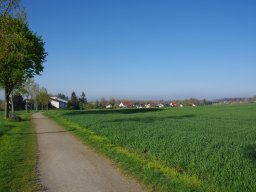 Frühling am Buchwald